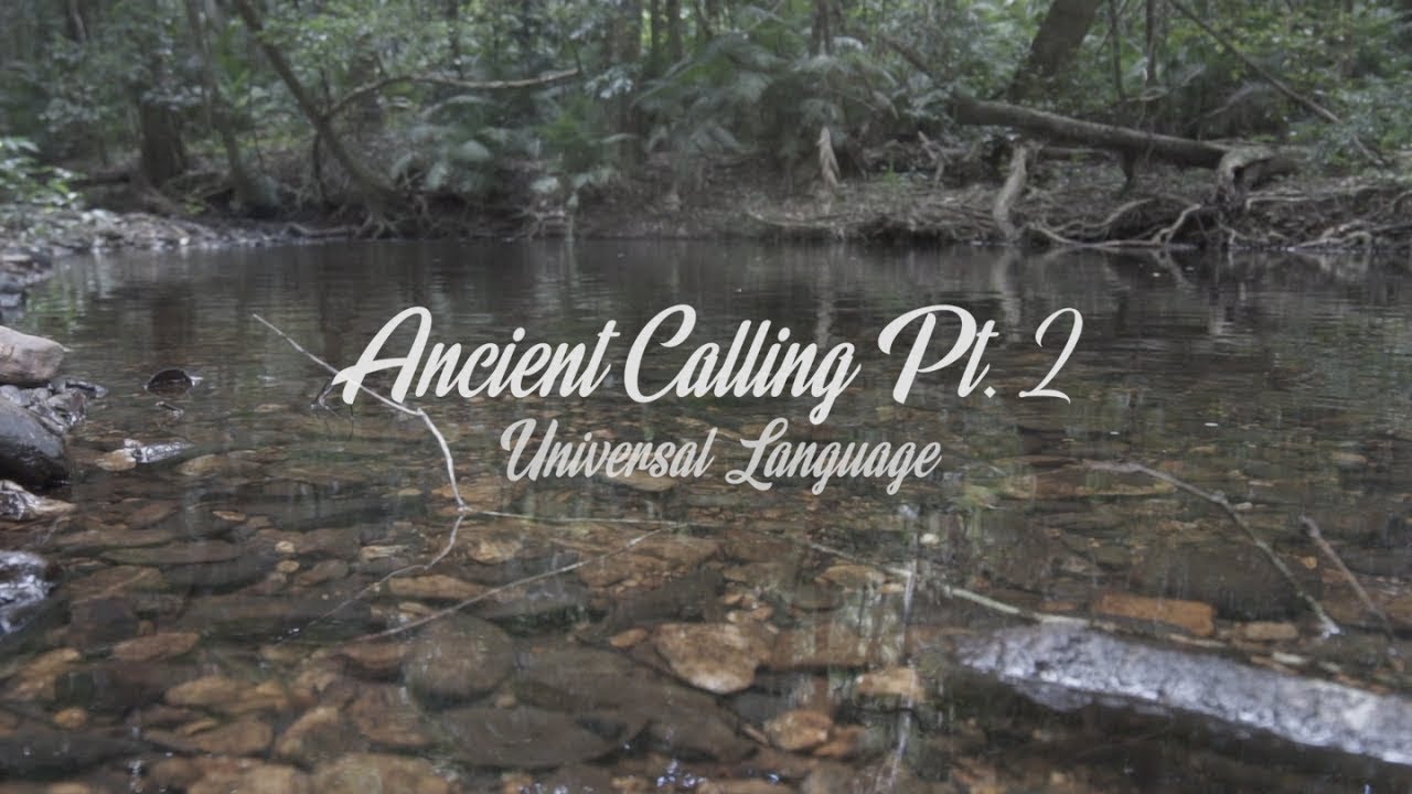 DIGGIS - ANCIENT CALLING Pt.2 UNIVERSAL LANGUAGE (Prod. by DEVELOP) [Official Video]