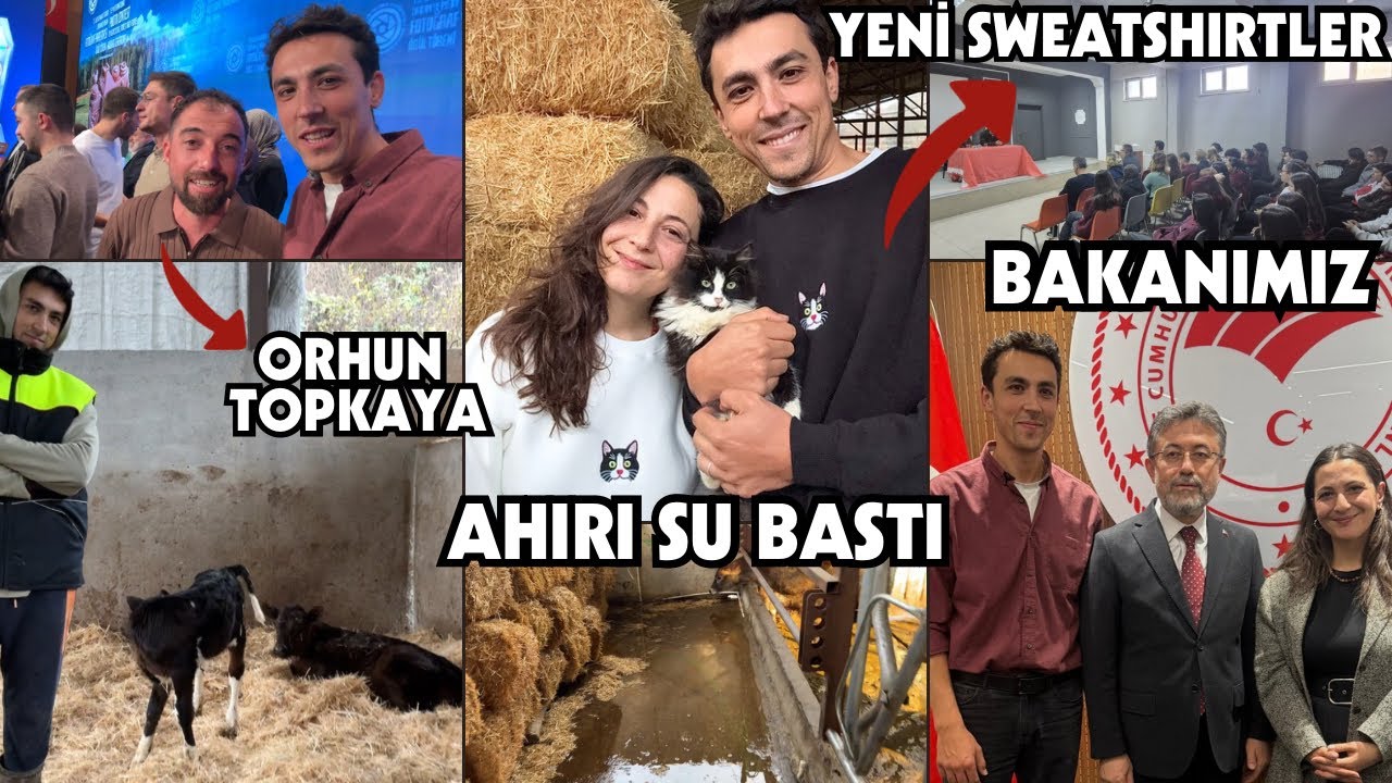 BUZAĞILAR AHIRI YIKTI! | Kaos Bir Video 
