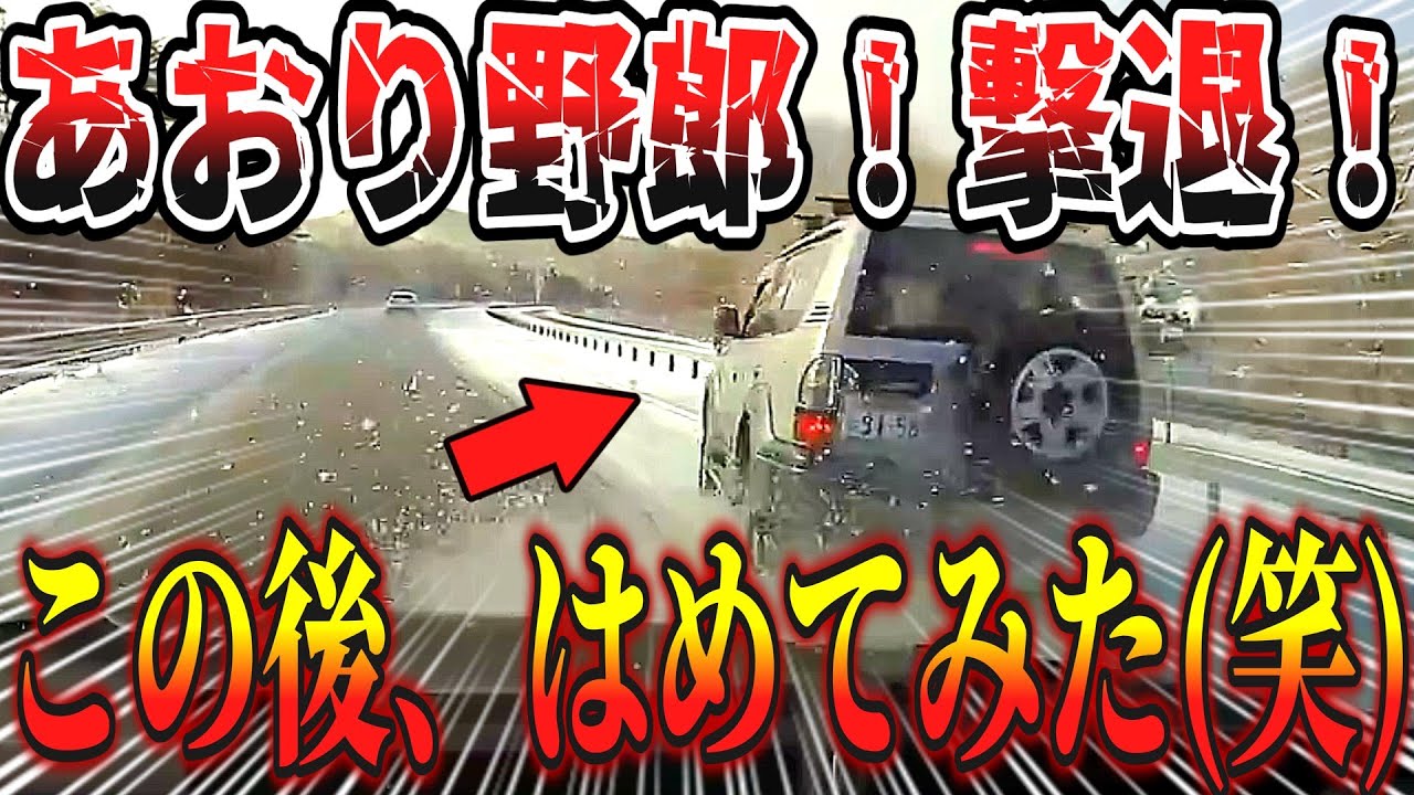 【ドラレコ】ざまぁwww 煽り運転野郎に天罰が下った瞬間！/最新日本ドラレコ映像/交通安全教育/運転の危険予知学習/交通事故撲滅