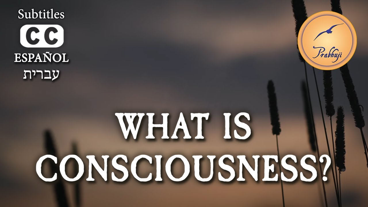 What is Consciousness? - Prabhuji
