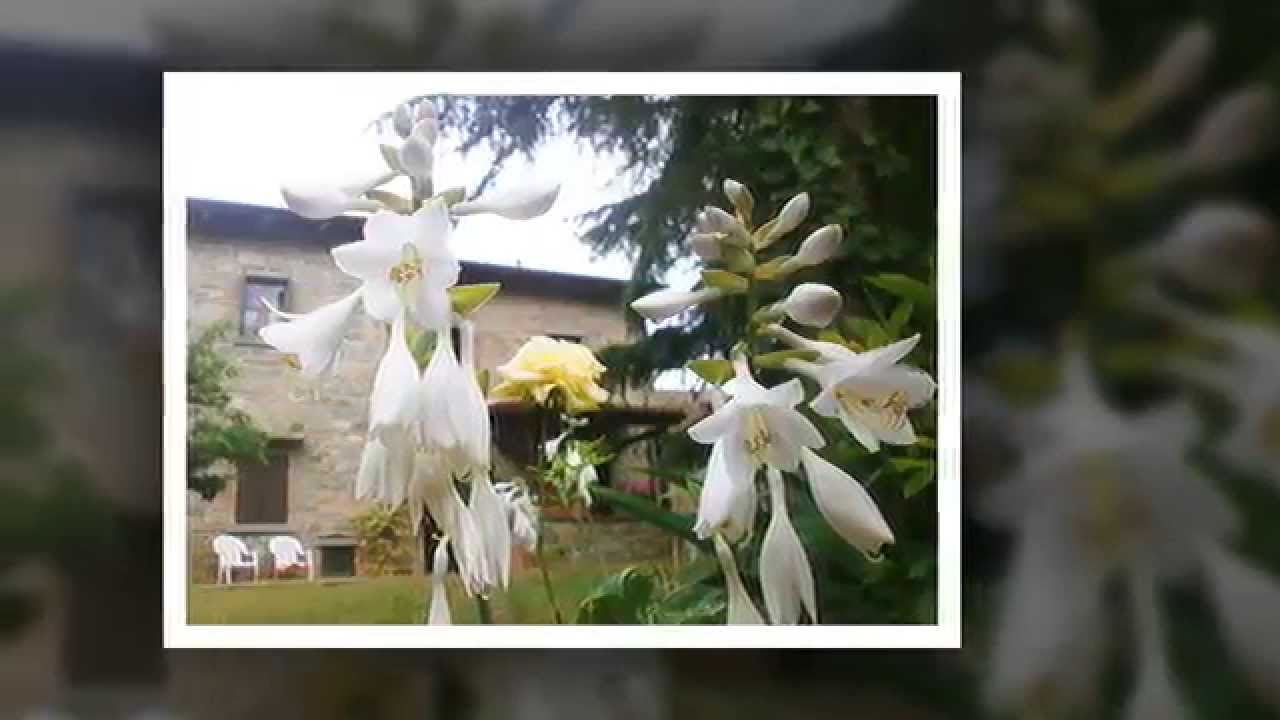 Casa Le Celle Cortona Tuscany. Vacation house