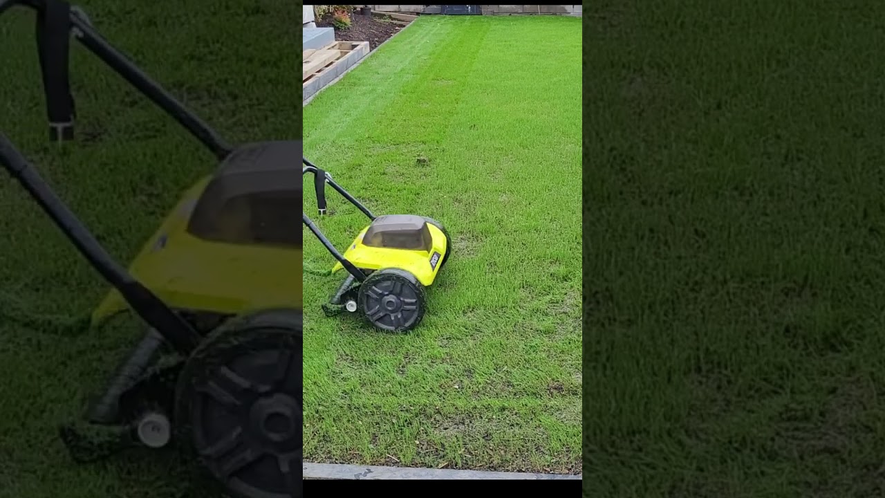 Ryobi 18v Reel Mower first mow new Ryegrass lawn! #shorts