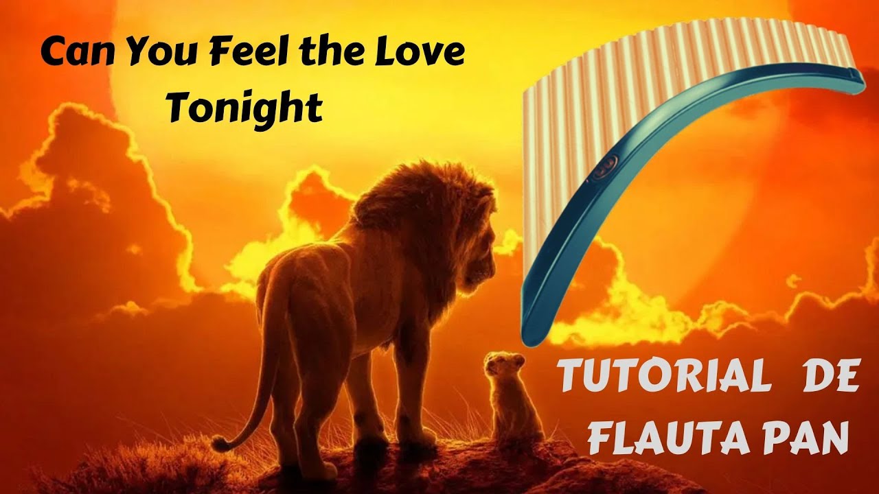 Tutorial Flauta Pan | Rei Leão - Can You Feel the Love Tonight