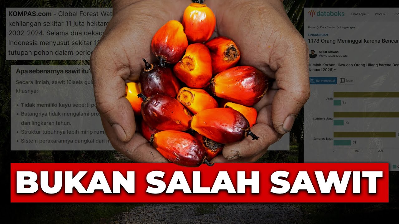 Inilah Penyebab SEBENARNYA Bencana Banjir di Sumatra Tahun 2025.