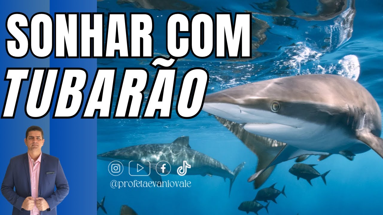 SONHAR COM TUBARÃO | CUIDADO!  @profetaevaniovale⁩ #visão #sonhos #tubarão