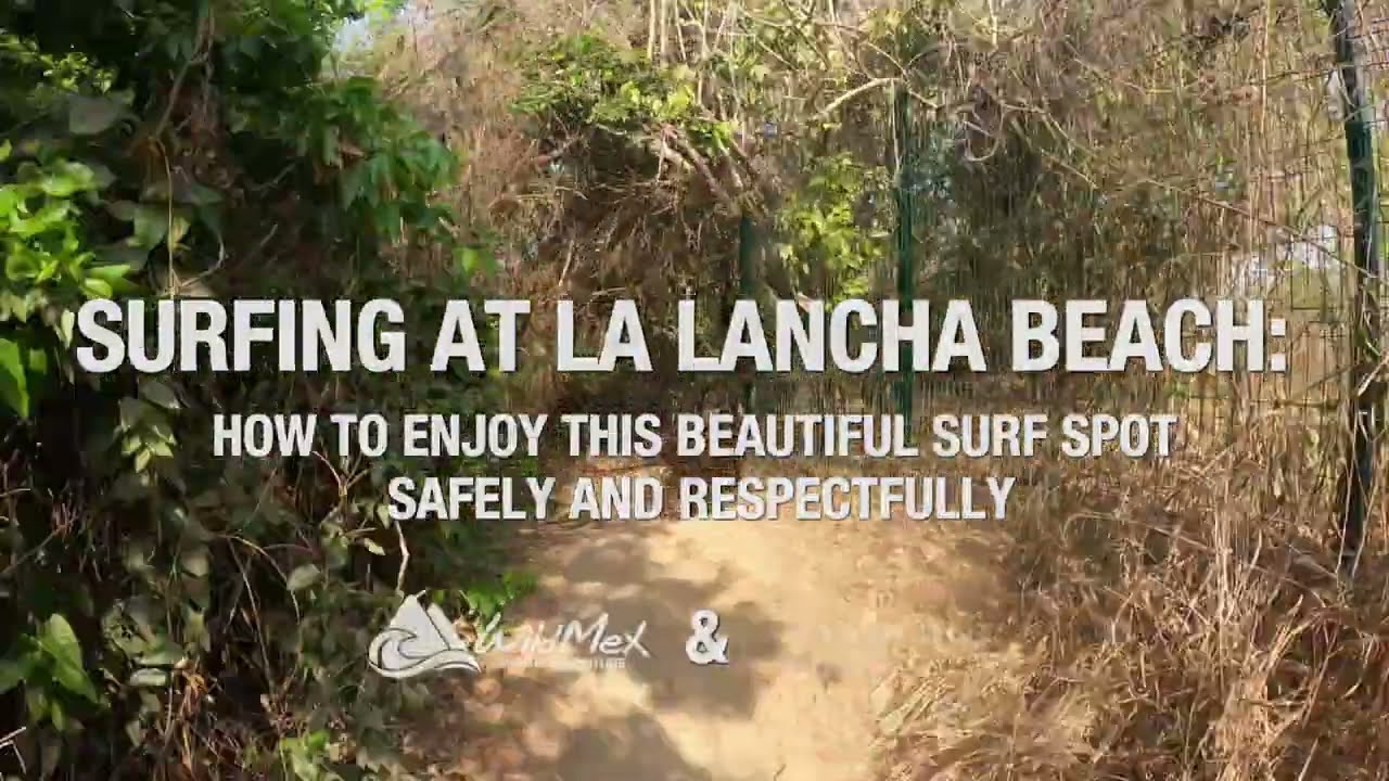 Where to Surf in Punta Mita: Safe Zones for All Levels | WildMex Surfing