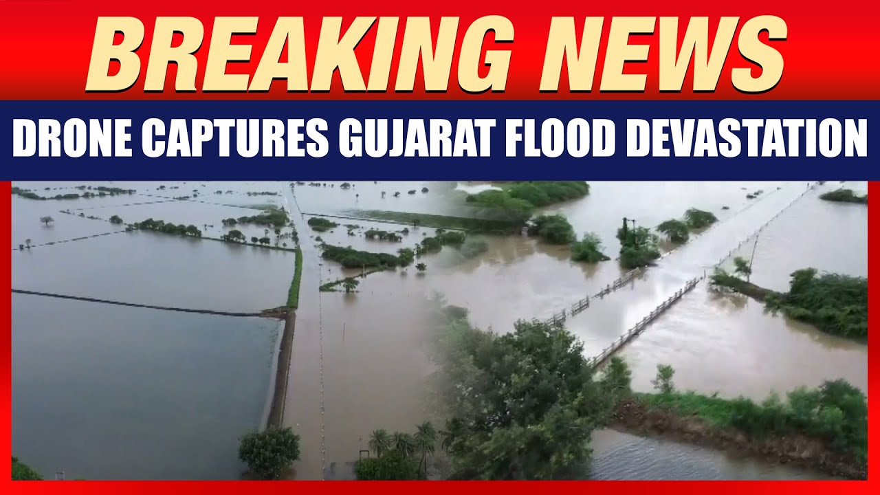 Gujarat Floods: Drone Visuals Reveal Gujarat Flood Devastation | Dwarka Waterlogged After Rains