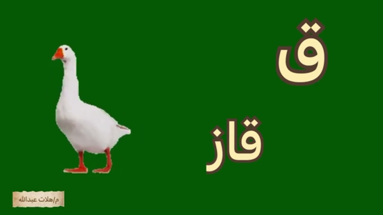 پیتێن كوردی / حروف الكردي /kurdish alphabet