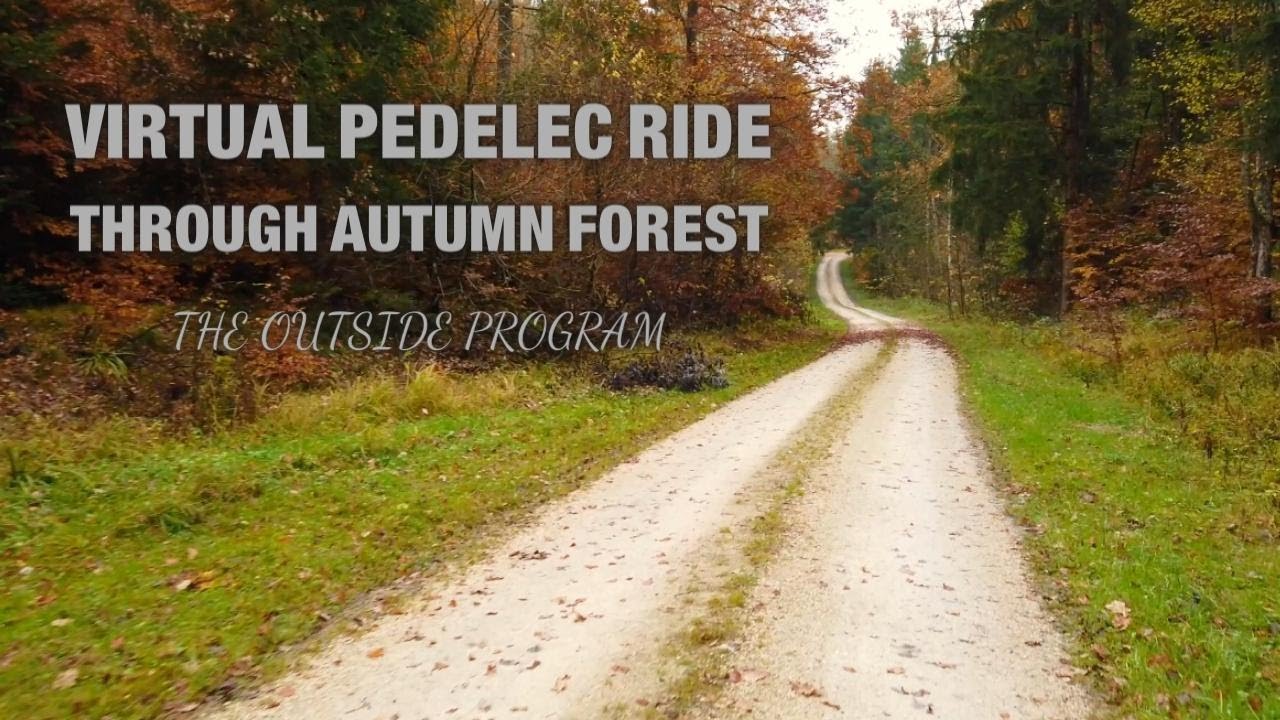 Ride with me - quick virtual pedelec ride through forest (no music) | THE OUTSIDE PROGRAM