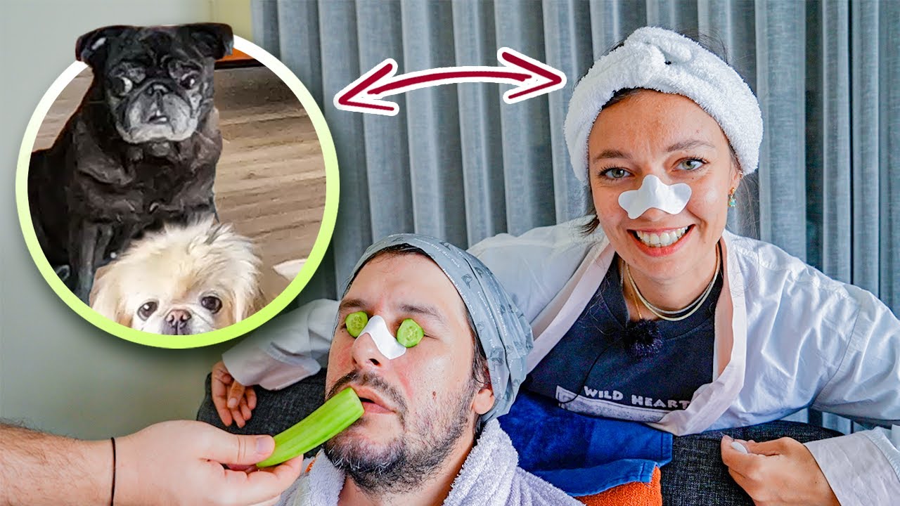 Köpekler Evde Tek Başına ! | Gizli Vlog