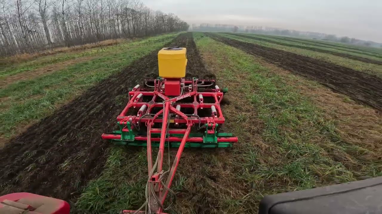 MTZ 1221.3 + Agro Masz Runo, 2022.12.05 szántóföldi kultivátorozás, Horsch LD kapával