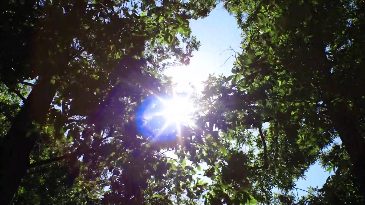 CLCTV Spring Newscast