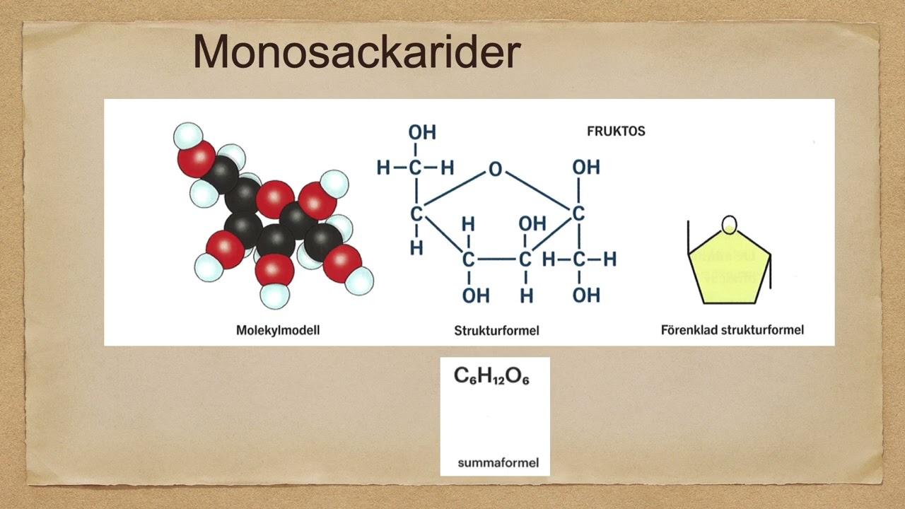 Kolhydrater