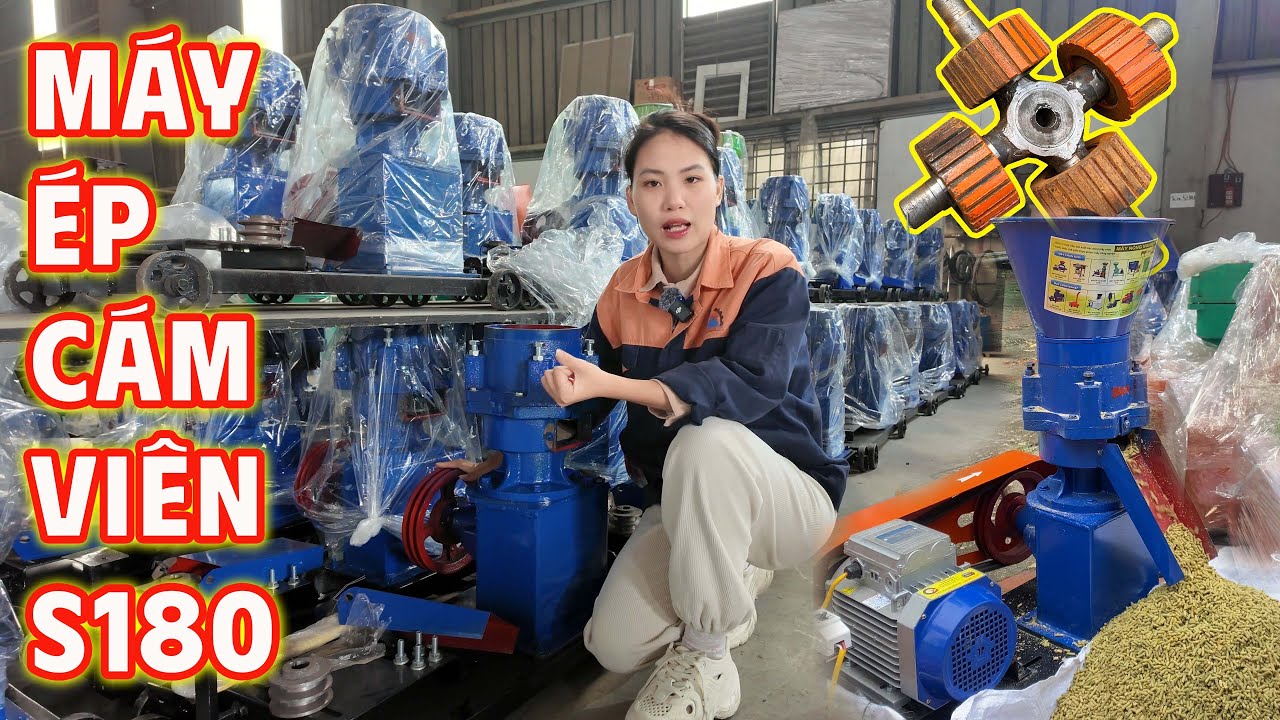 Máy Ép Cám Viên S180 - 4 lô Bình Quân sản xuất theo lô