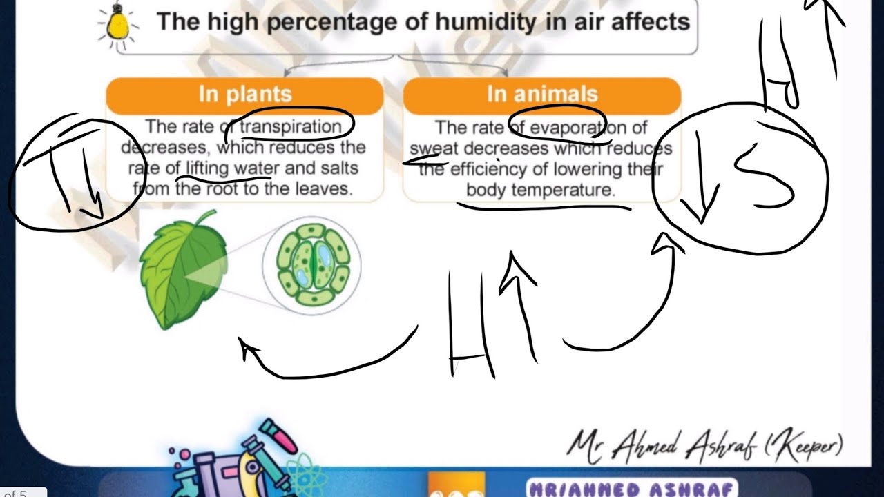 Integrated science: unit 2 , lesson 3 (part2) 🌲🤔💨