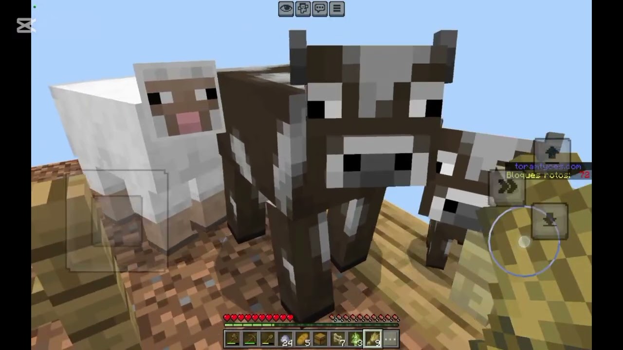 ون لكي بلوك1