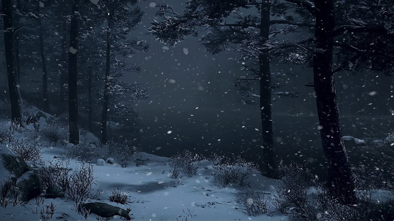 Snowy Forest Night Ambience Heavy Snowfall and Relaxing Wind Sounds for Deep Sleep and Stress Relief