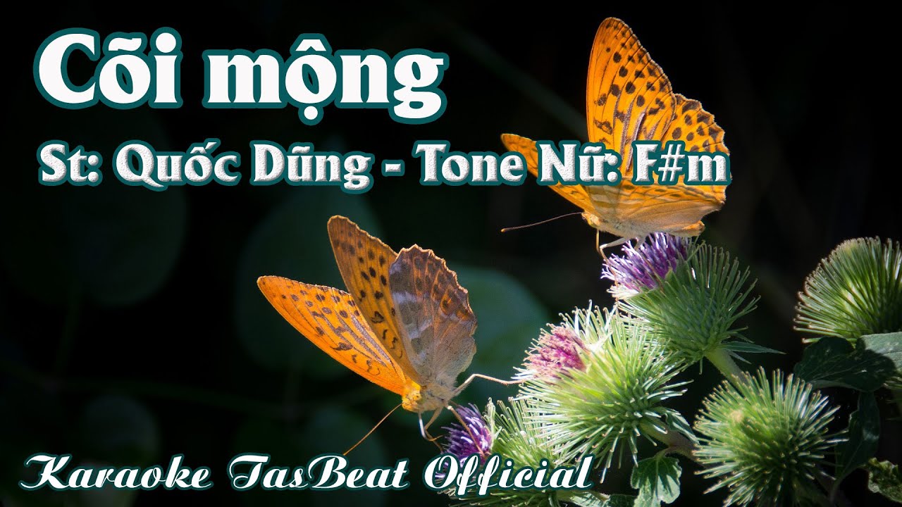 Karaoke Cõi Mộng Tone Nữ | TAS BEAT