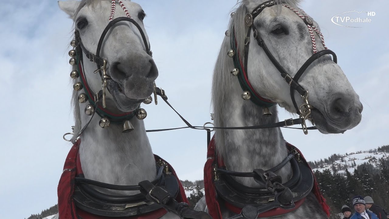 Parada Gazdowska w Kościelisku - 2022