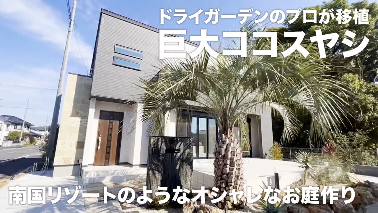 【庭づくり】北関東で巨大ココスヤシを移植？！ドライガーデンのプロがつくる南国リゾートのようなオシャレなお庭【#ガーデニング】