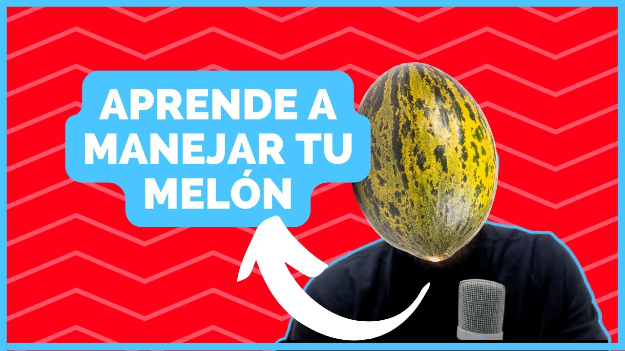 3 Ejercicios de DEFUSION COGNITIVA (ACT) -  🧠 ¡¡¡Gobierna tu mente!!! 🧠