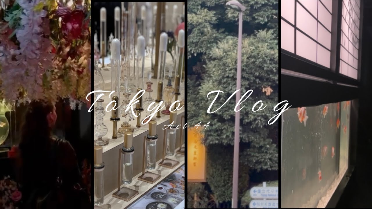 Autumn in Tokyo | Vintage Shopping, Art Museums, Visiting a Shrine, Lots of Cafes | Vlog