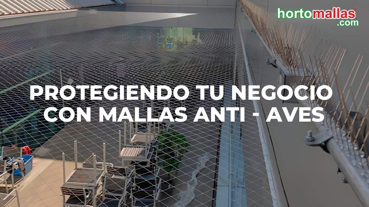 Protegiendo tu Negocio con Mallas Anti - Aves