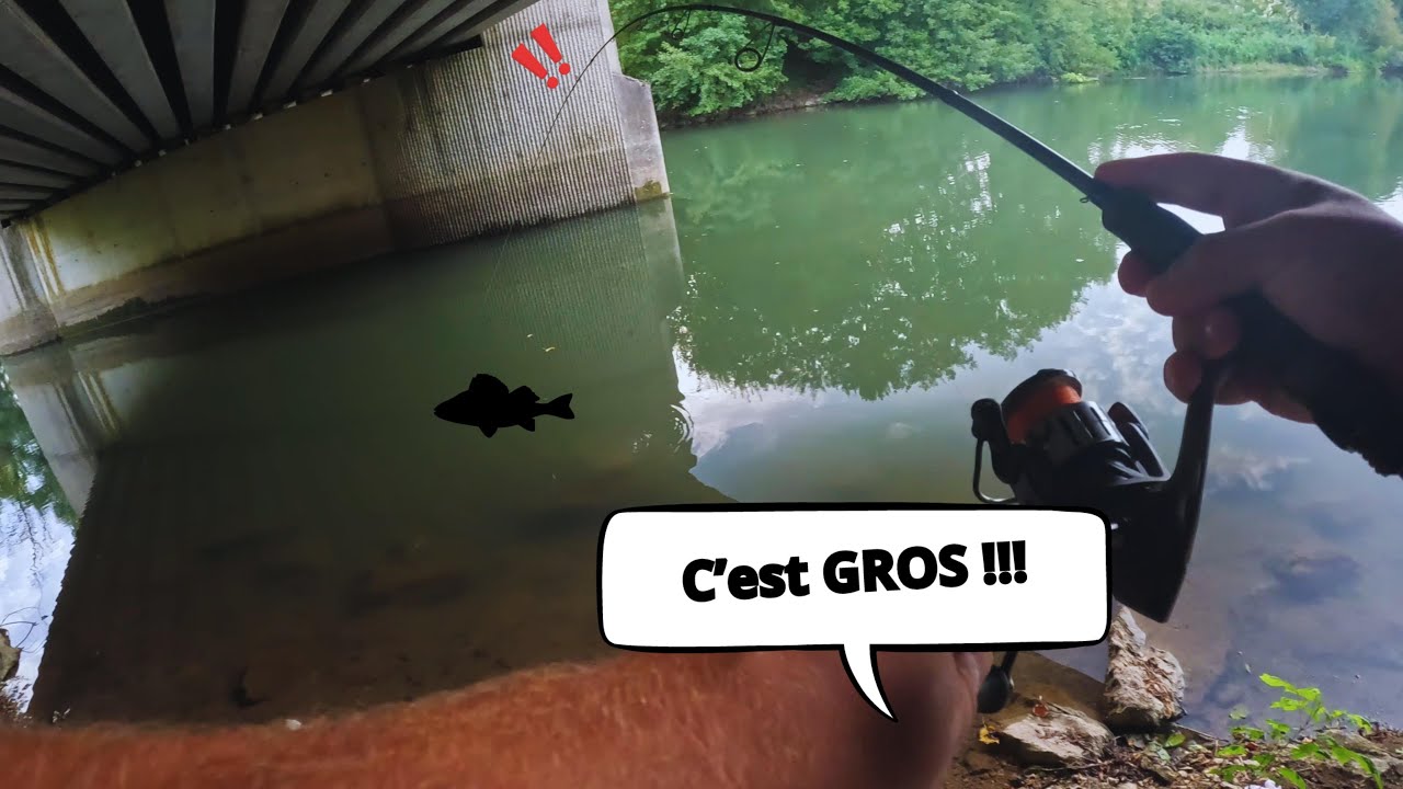 Du GROS poisson sous ce PONT ! ( Pêche au leurre)
