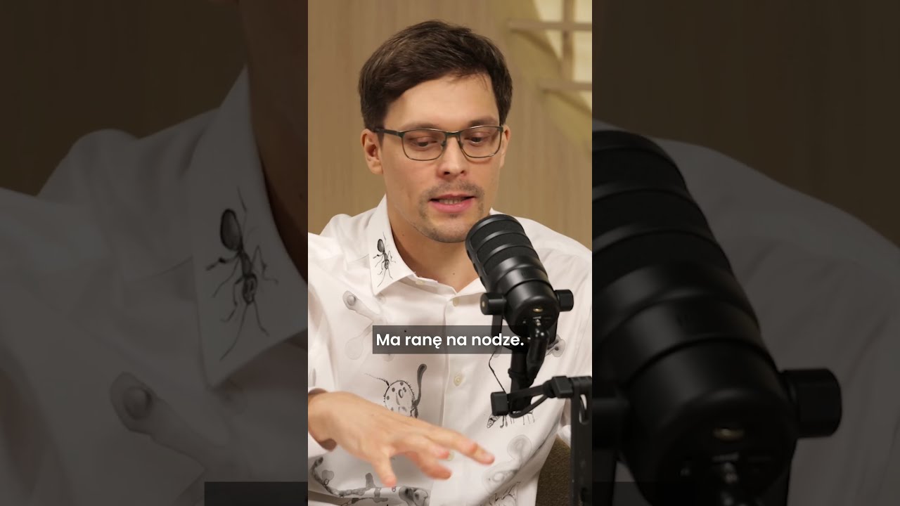 Chirurgia u mr&oacute;wek #debata #mrowki_vs_pszczoly