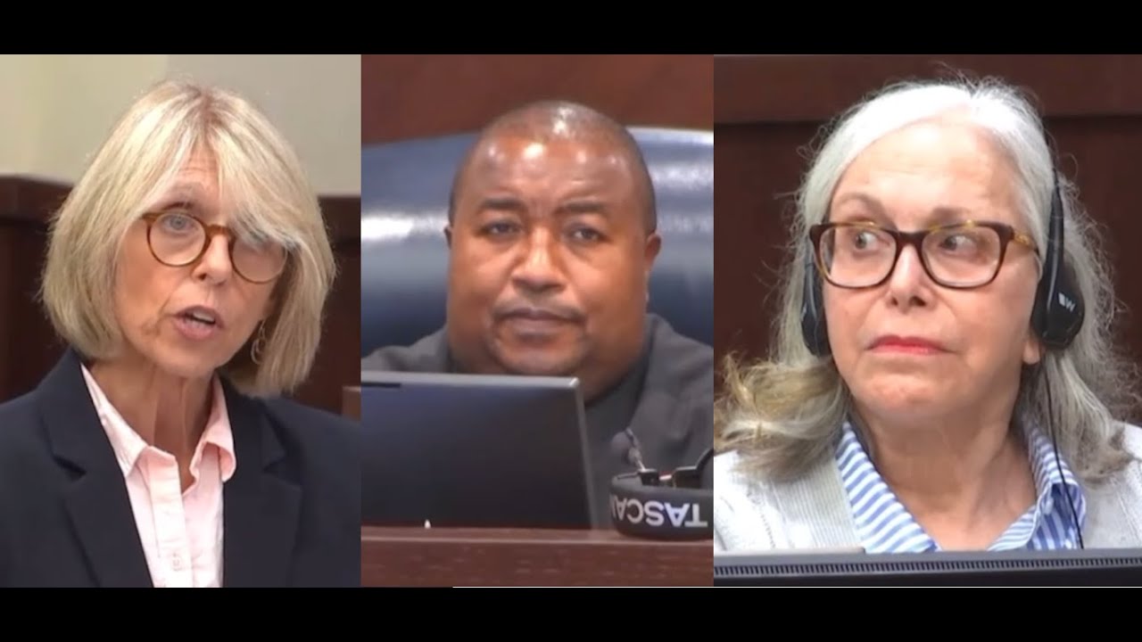 Judge Mulls Admissibility Of Donna Adelson's Match.com & 'Derogatory' Emails