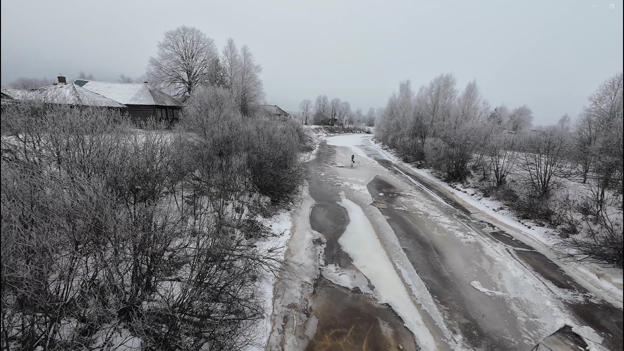 д. Пустынь, Костромского района, дата съемки: 09 февраля 2025г.