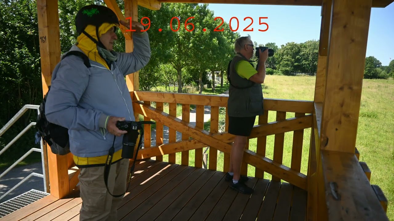 Juni 2025