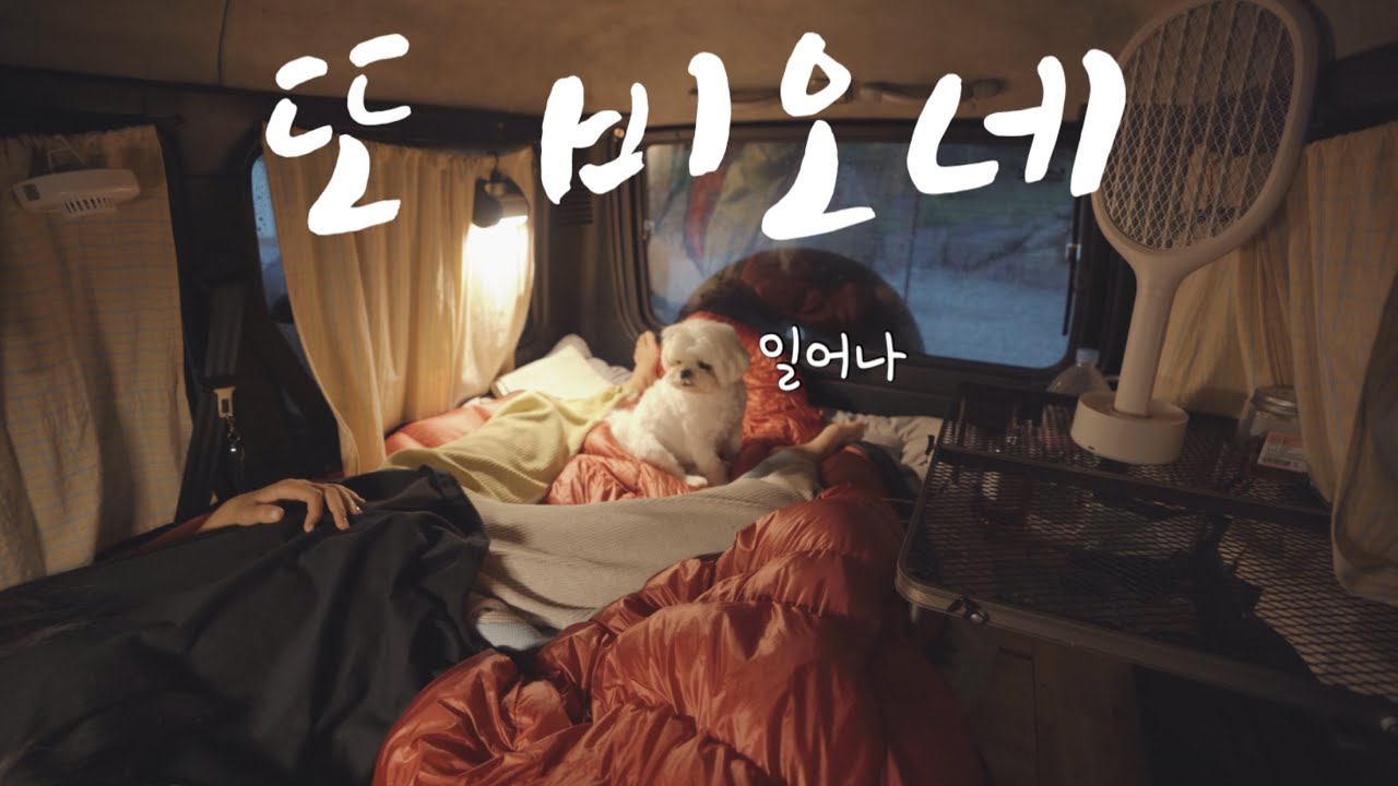 비올땐 역시 차박이죠 | 올 여름 마지막 계곡 입수 | 홍천 개암벌용소관광농원