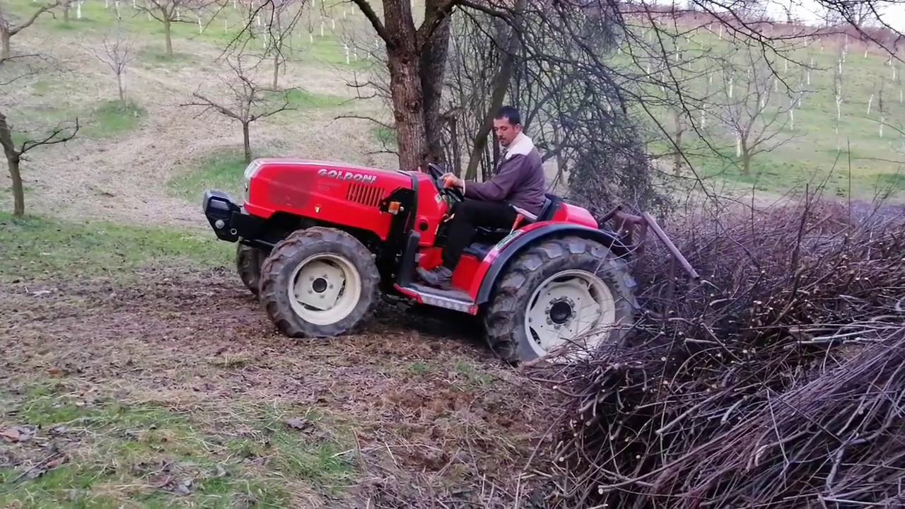 Goldoni guranje grana