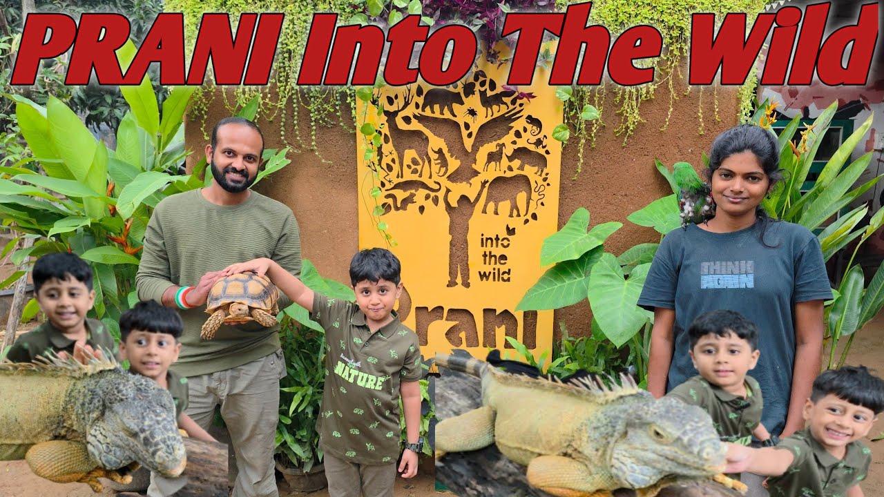 PRANI into the wild  #PraniPetSanctuary #prani #Animalrescuecentre 