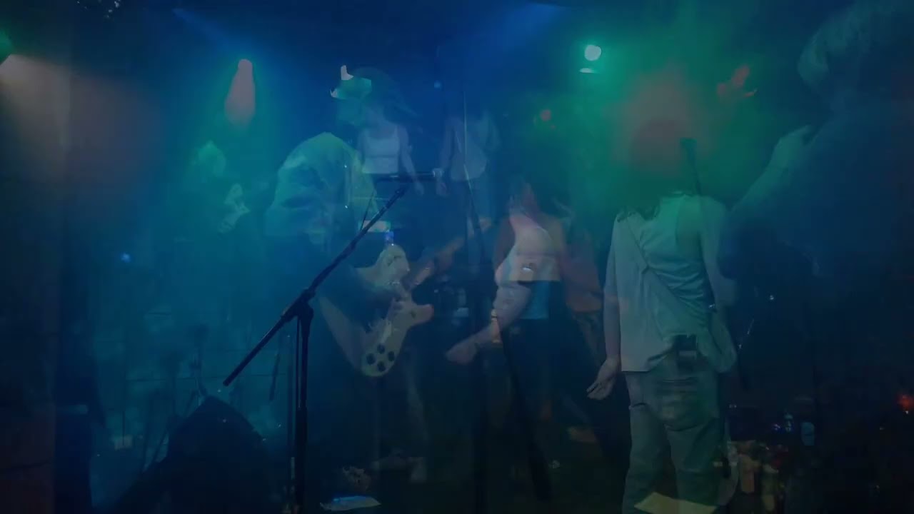 Doggos // Szabadkikötú live (2025-11-15)