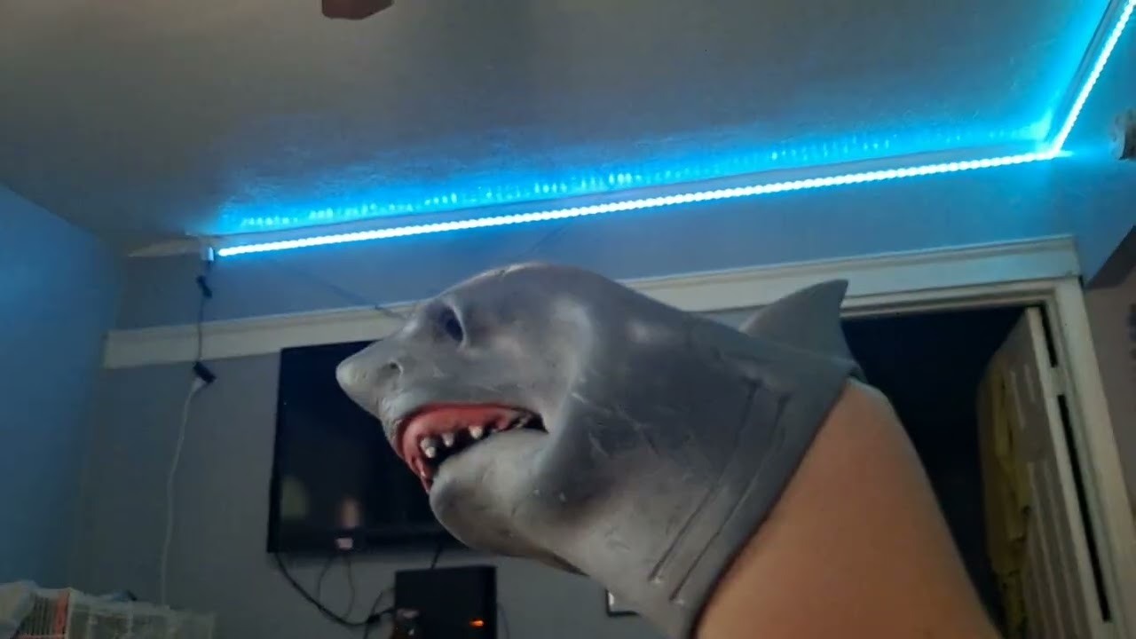 Shark puppet Yeah