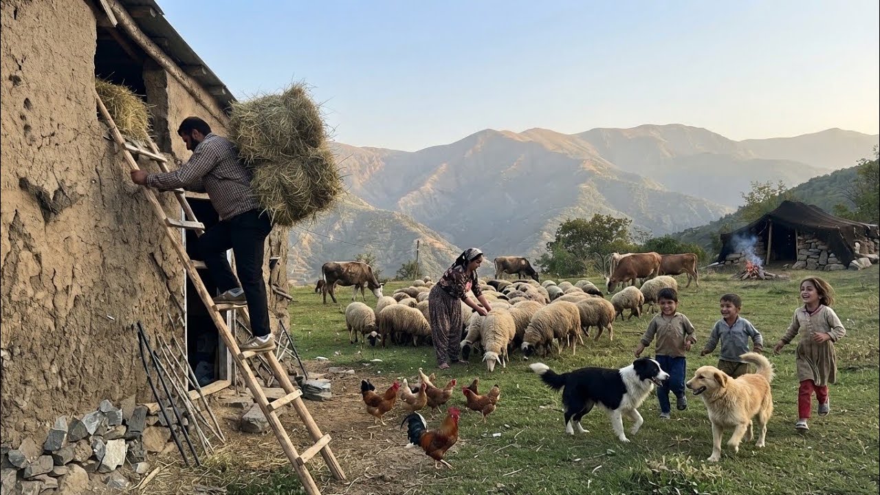 IRAN village life in mountain; Caring for cows and sheeps and ladder Construction