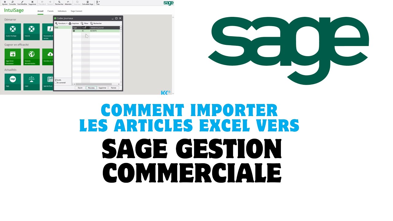 COMMENT IMPORTER LES ARTICLES EXCEL VERS SAGE GESTION COMMERCIALE