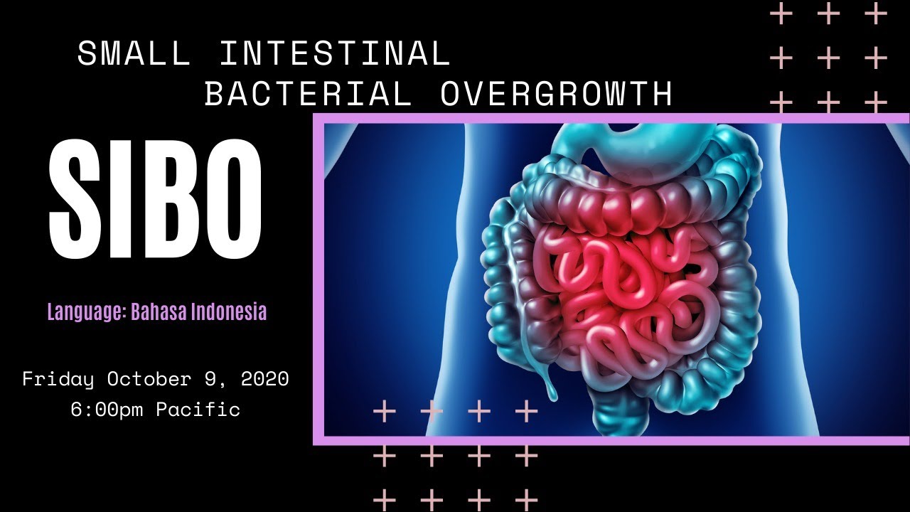 [INDONESIAN] Small Intestinal Bacterial Overgrowth (SIBO)