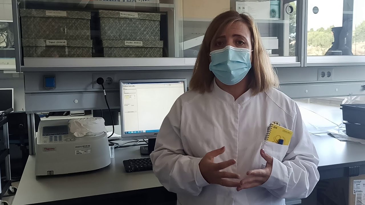 Riego de precisi&oacute;n en cultivos le&ntilde;osos