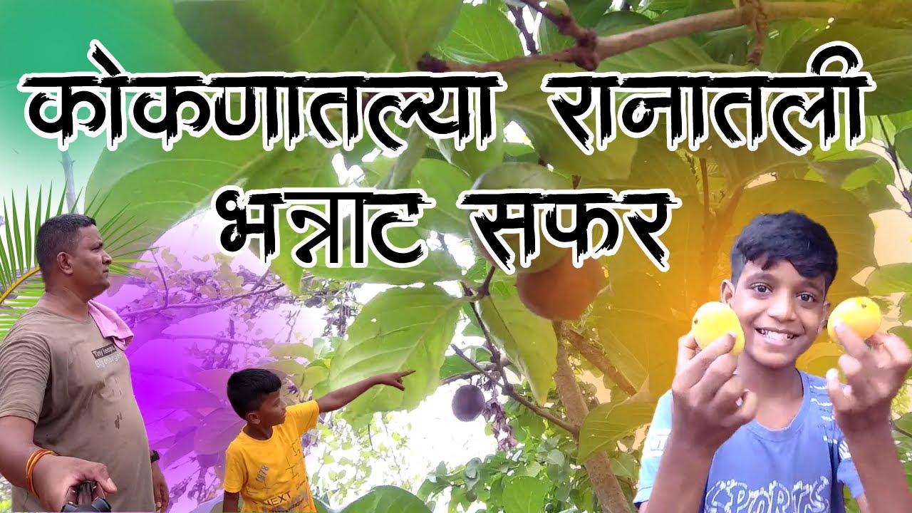 कोकणातलं जंगल, एक छोटा वाटाड्या आणि चविष्ट रानमेवा!