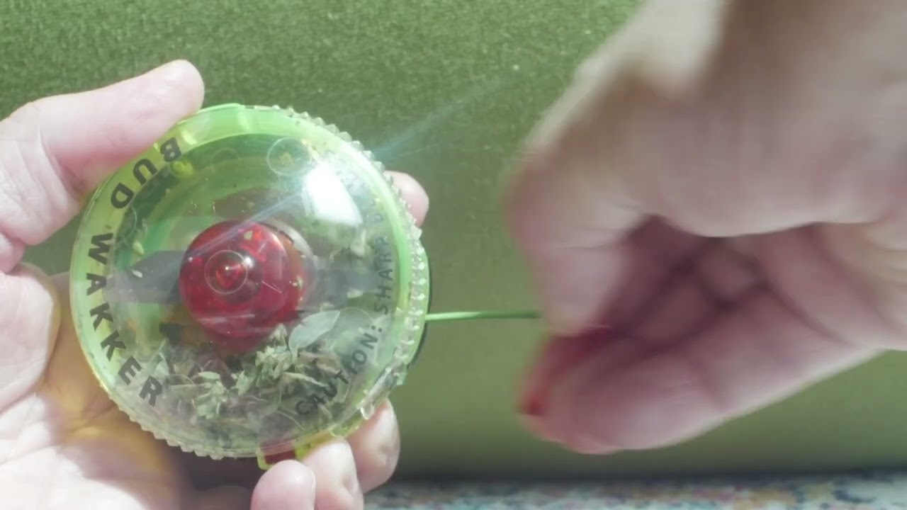 What happens when a Salad Spinner has a baby with a Yoyo?