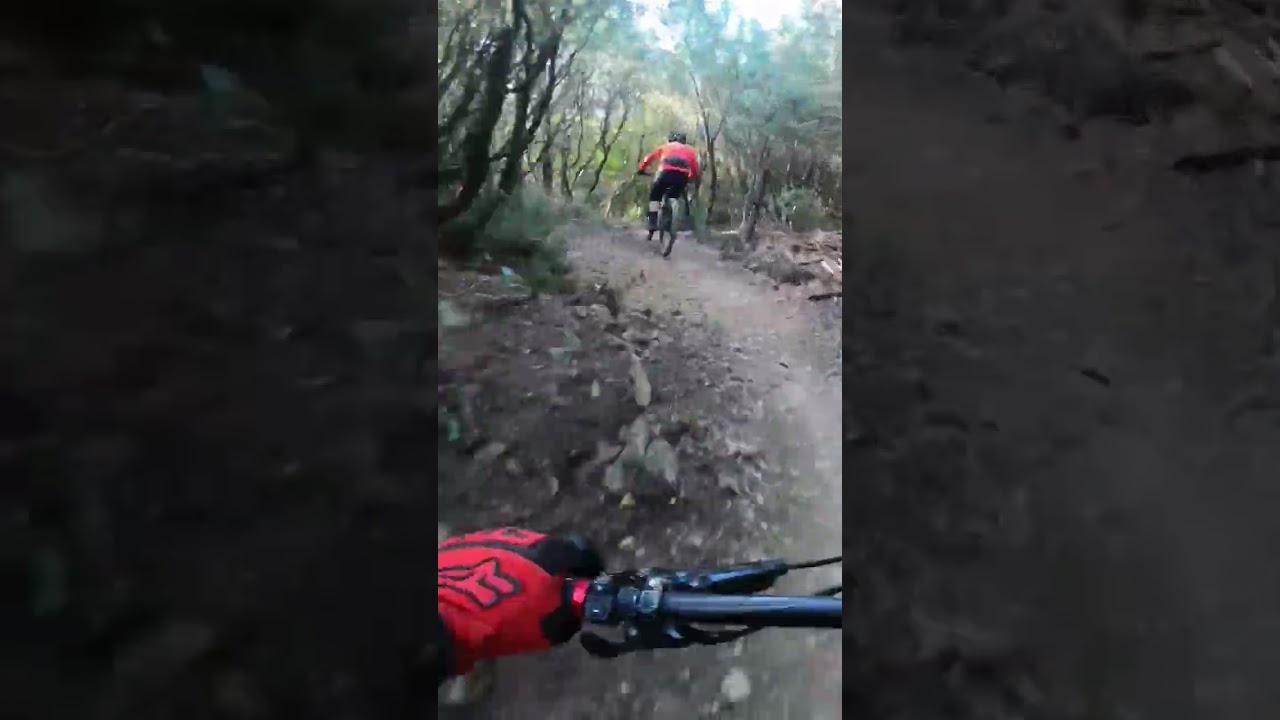 Kris / Miniera, Poggio Pelato #mtb #trail #enduromtb #poggiopelato #iosonofreeride