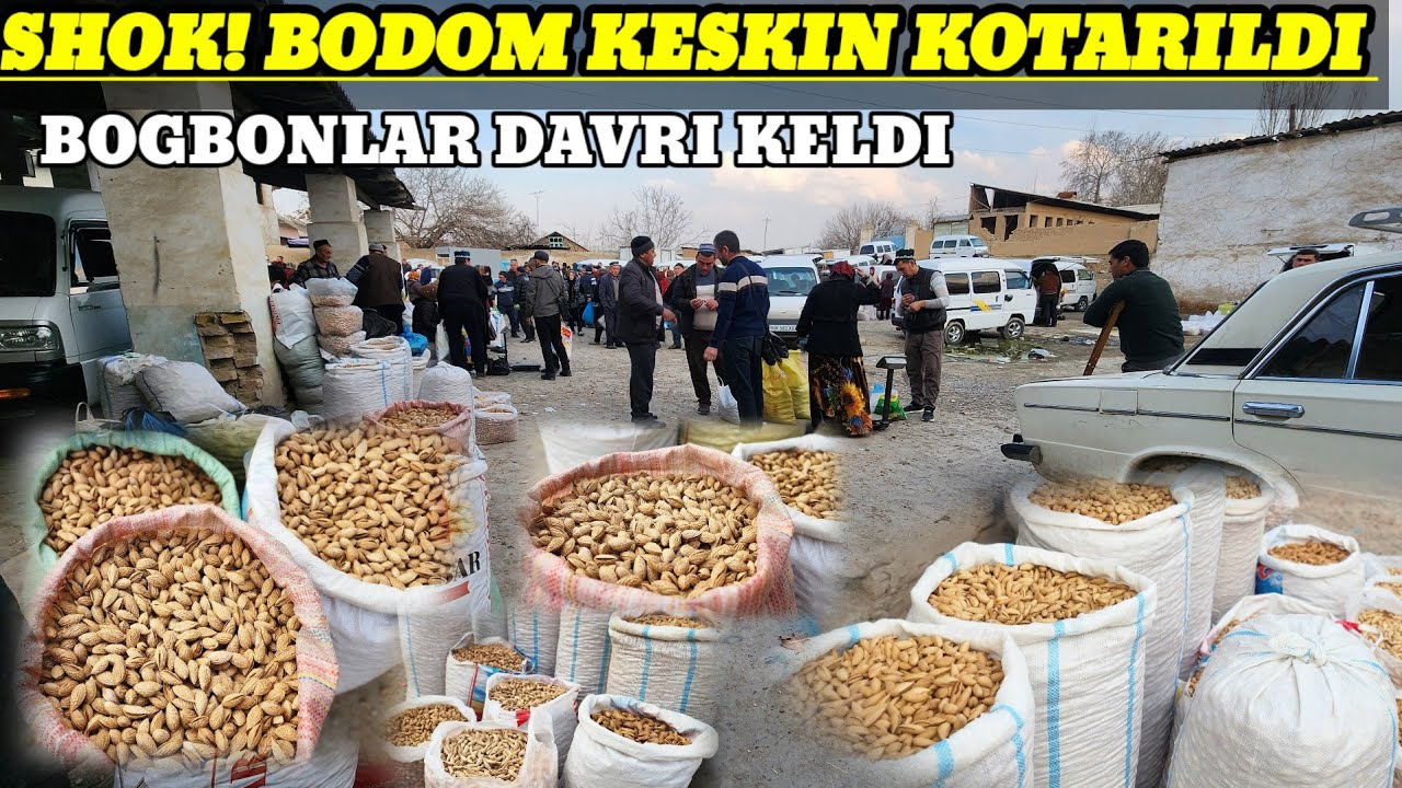 Bugun bozorda optom bodom narhlari21-fevral, 2026