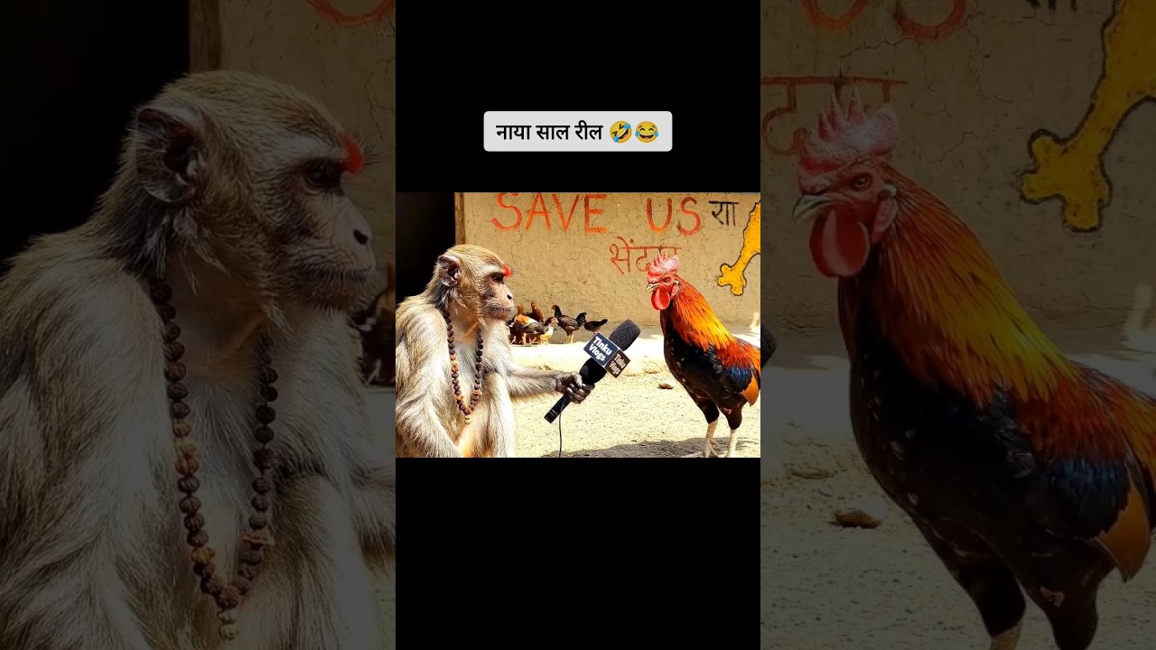 happy new year 2026 | AI video funny 🤣🤣 #facebookviral #shortvideo