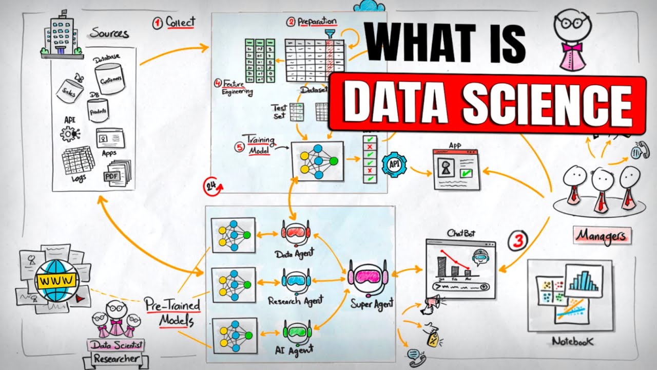 What Data Scientists Actually Do in 2025 (Full Breakdown)
