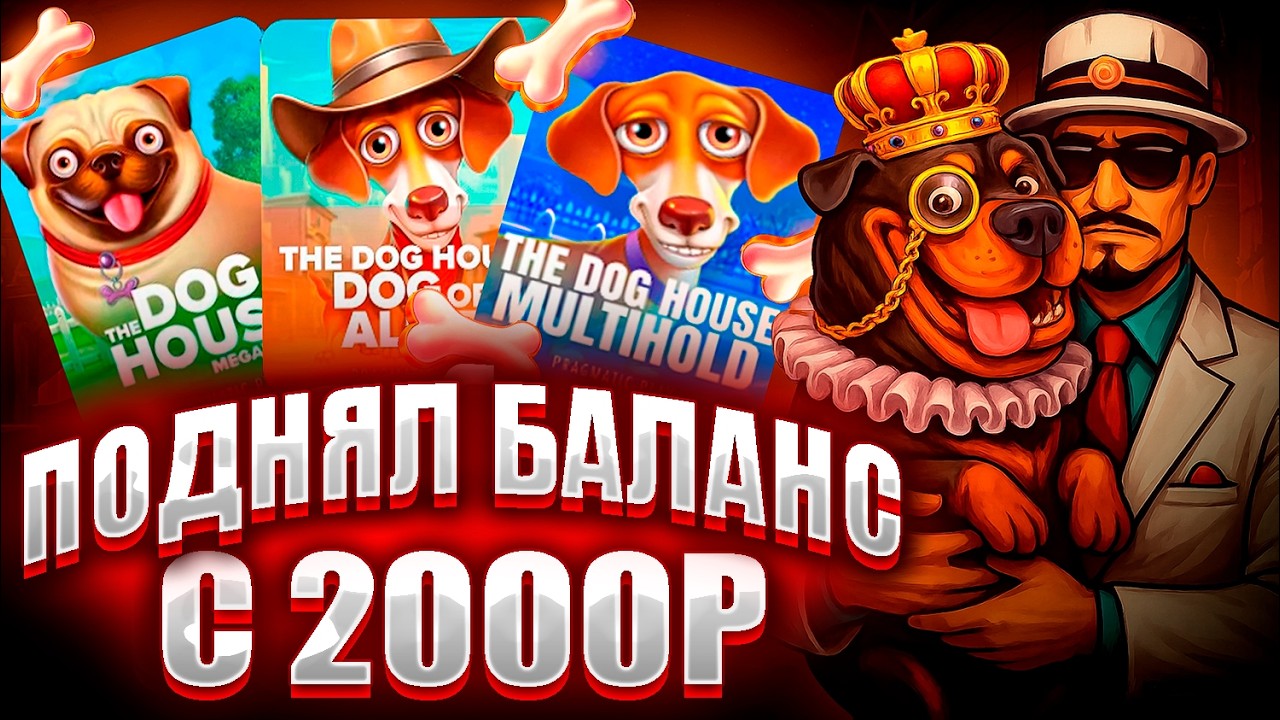 С ЛОУ БАЛИКА ЗАНОС НА 1000Х В The Dog House Multihold / ПОДНИМАЮ БАЛИК В ТРЁХ ДОГ ХАУСАХ!!! ЗАНОС!!!