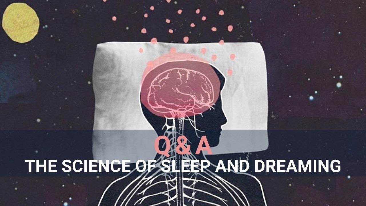 The Science of Sleep and Dreaming: Q&A