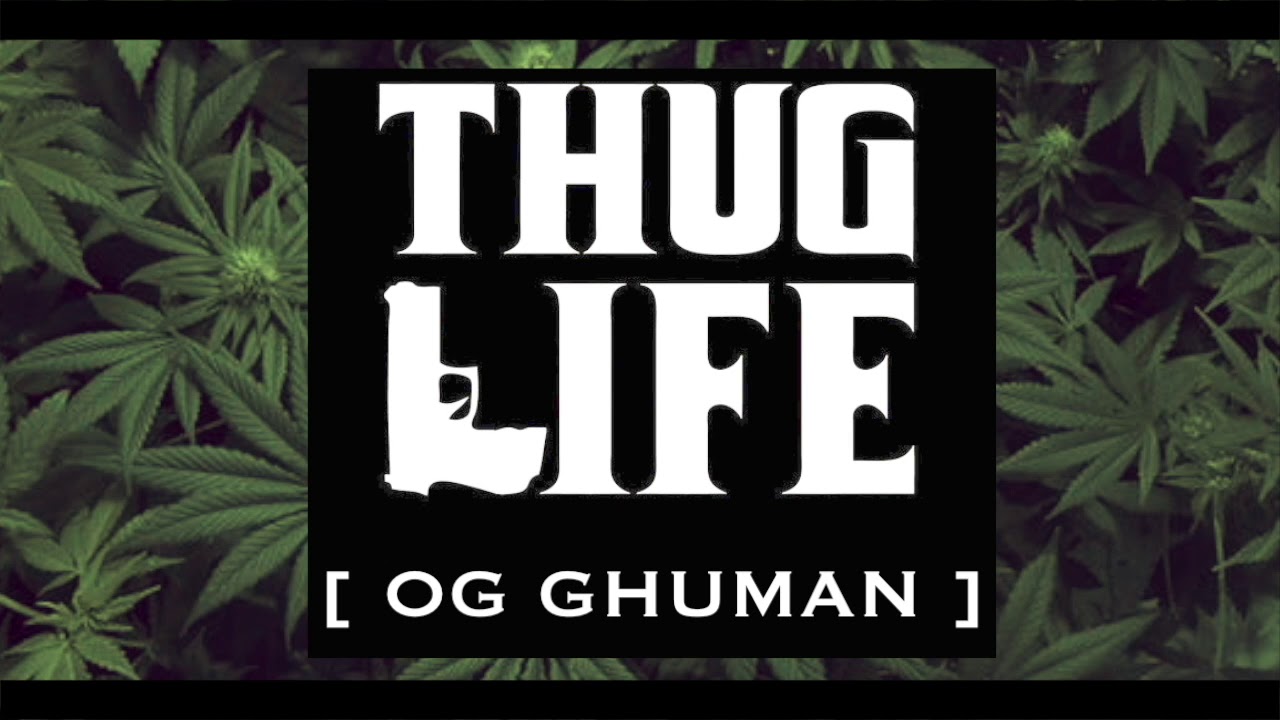 THUG LIFE - OG GHUMAN ( OFFICIAL AUDIO )